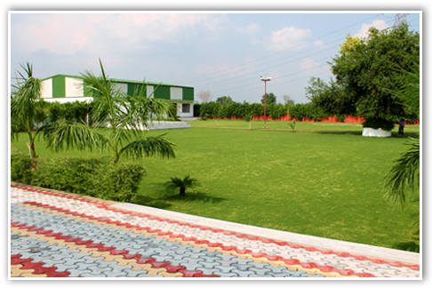 Party area and stage view from entry gate