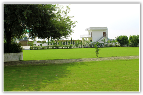 Party area lawn view of farm house